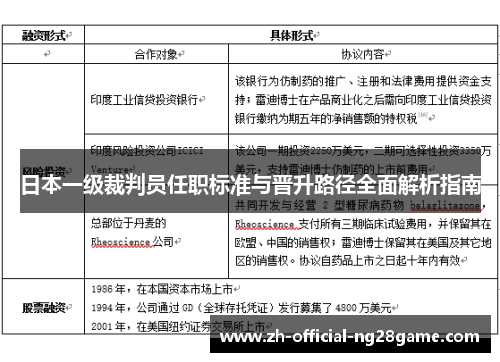 日本一级裁判员任职标准与晋升路径全面解析指南