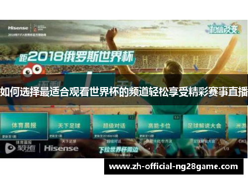 如何选择最适合观看世界杯的频道轻松享受精彩赛事直播