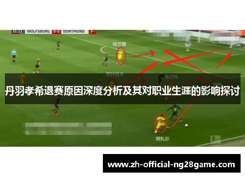 丹羽孝希退赛原因深度分析及其对职业生涯的影响探讨