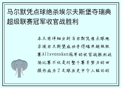 马尔默凭点球绝杀埃尔夫斯堡夺瑞典超级联赛冠军收官战胜利